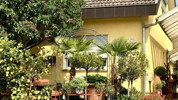 A courtyard with potted plants, a metal trellis, and a yellow building with a tiled roof. - Studio Apartment, 32 sqm, with Wi-Fi (Ammerbuch)