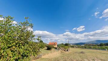 Área da propriedade