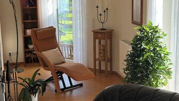 TV connectée, cheminée, livres