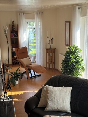 Smart TV, fireplace, books