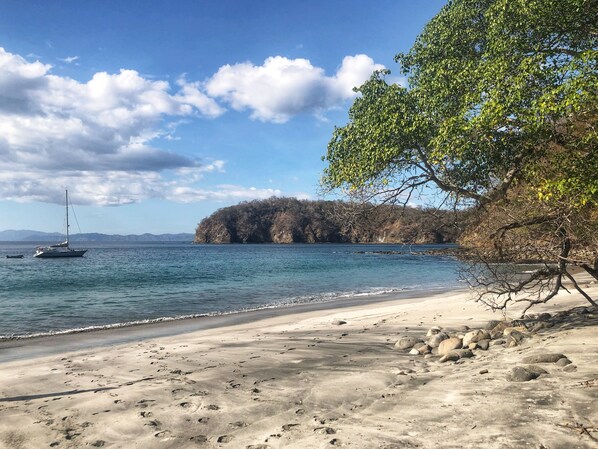 A beach with a boat, rocky shoreline, and a tree.