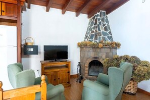 Fernseher