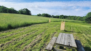 Grill-/Picknickplatz
