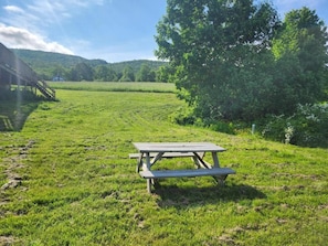 A picnic table in a grassy field with a tree and a building in the background. - Auberge Schweizer (Sutton)