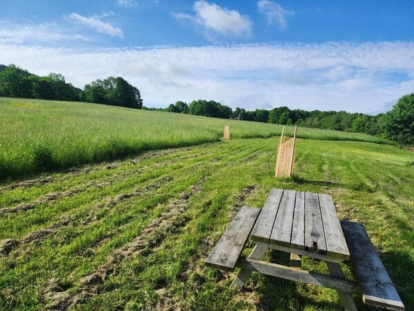 A picnic table in a grassy field with trees in the background. - Auberge Schweizer (Sutton)