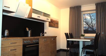 Zentrale Ferienwohnung mit gesichertem Privatparkplatz im Hinterhof