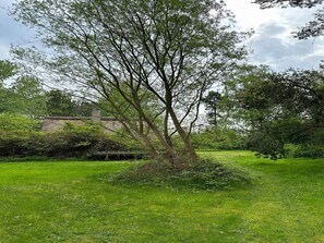 Exterior - 5 Star Holiday Home in Knebel (Knebel)