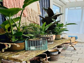 Ferienhaus | Innenbereich