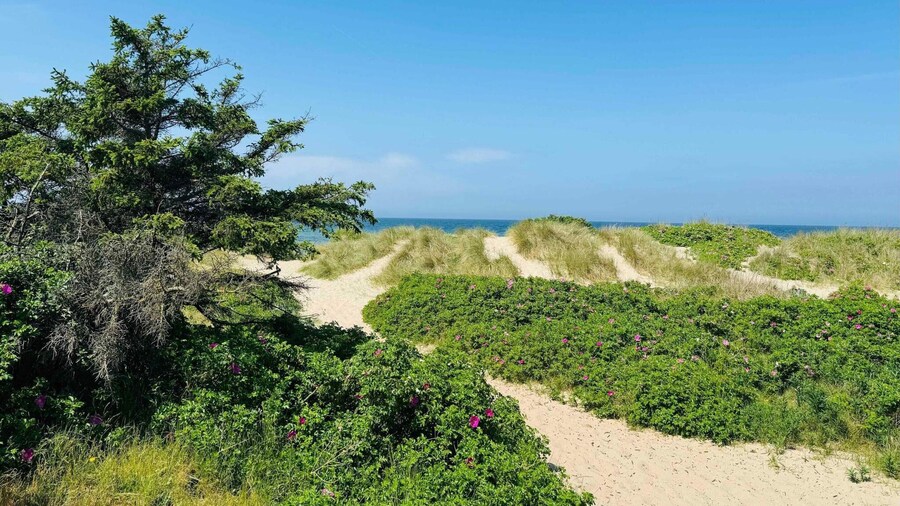 5 Star Holiday Home in Graested