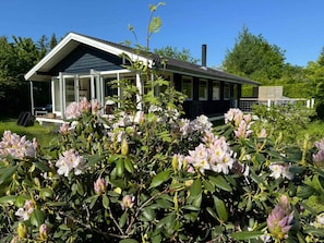 Exterior - 5 Star Holiday Home in Graested (Graested)