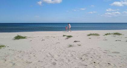 5 Star Holiday Home in Albaek