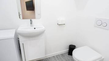 Shower, hair dryer