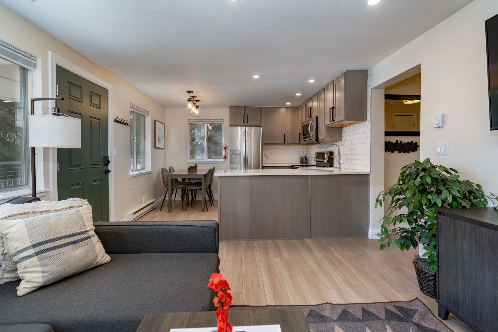 电视、壁炉、办公室