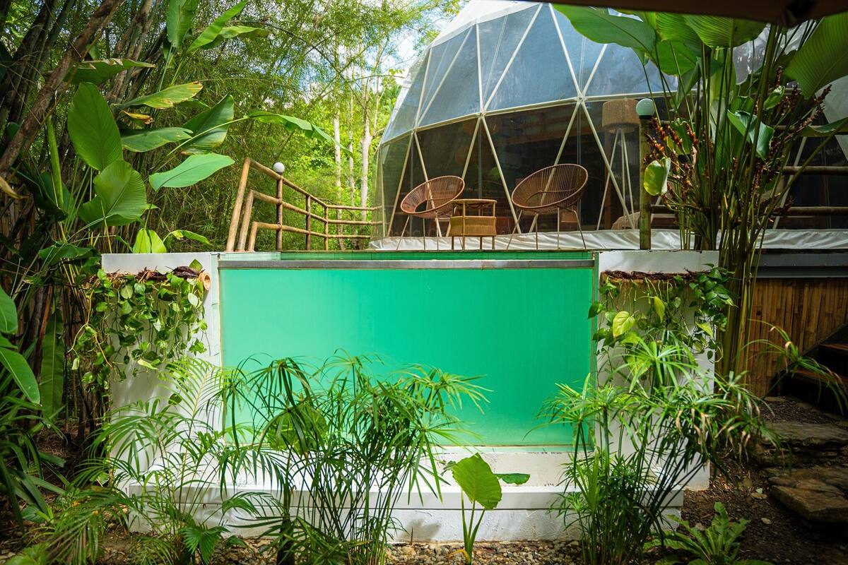Estructura de cúpula geodésica con pantalla verde, rodeada de vegetación exuberante y mobiliario de madera.