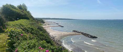 單棟房屋 | 外觀