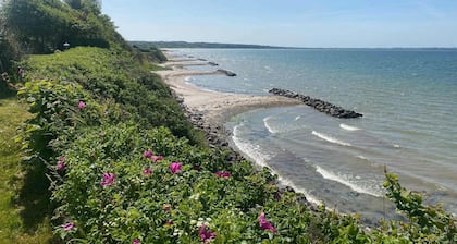 5 Star Holiday Home in Brenderup Fyn