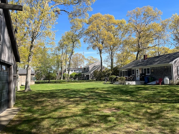 A residential area with a lawn, trees, and houses.