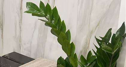 Golegã Boutique Apartment By Gt House