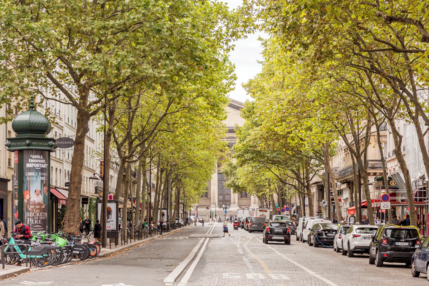 A tree-lined street with parked cars and bicycles, buildings on either side, and a clear sky.