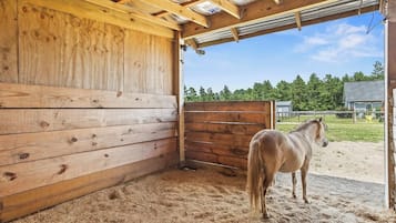 Enceinte de lâhĂ©bergement