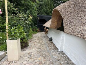 House | Exterior - 4 Star Holiday Home in Ulfborg (Ulfborg)