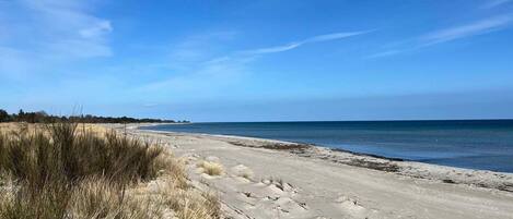 独立别墅 | 外观