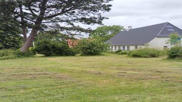 House | Property grounds