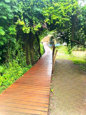 تفاصيل الفندق من الخارج