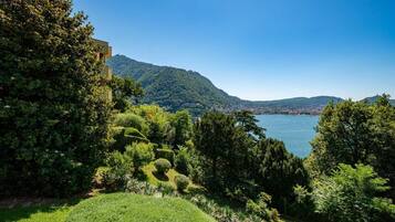 Un rigoglioso giardino con alberi e arbusti diversi, un cielo azzurro limpido e una vista lontana di un lago e delle montagne.
