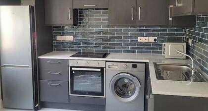 Spacious 1-bed Apartment, 4 rooms, free parking, central location