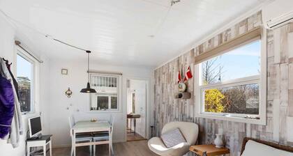 5 Star Holiday Home in Sjaellands Odde