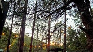 A wooden deck with tables and chairs, surrounded by tall trees and string lights.