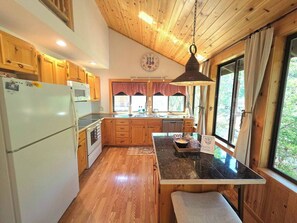 Microondas, horno, parrilla de estufa y lavavajillas 