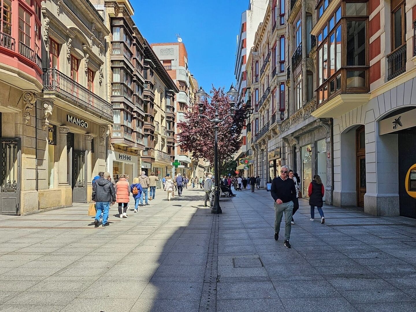 Une rue piétonne bordée de bâtiments historiques, de boutiques et d’un arbre aux fleurs roses.