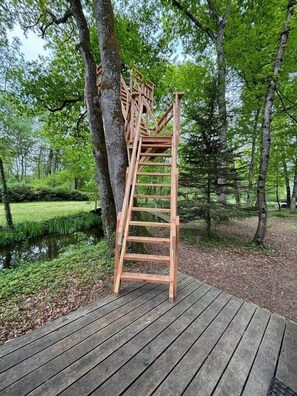 المنطقة المحيطة بالمنشأة