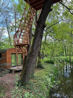 المنطقة المحيطة بالمنشأة