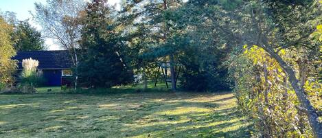 منزل | الإطلالة من المنشأة