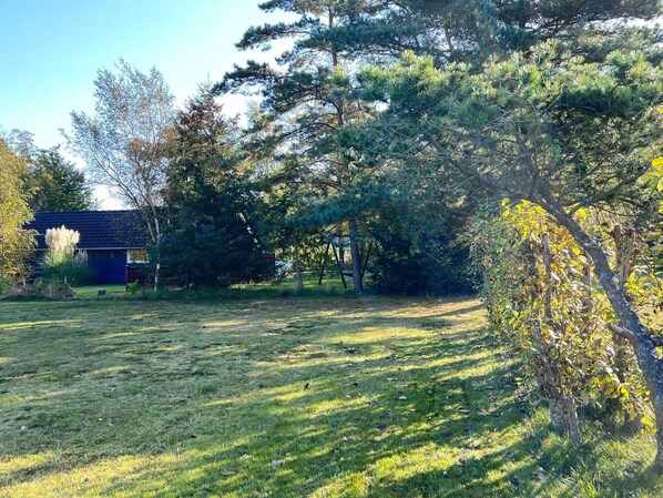 House | View from property