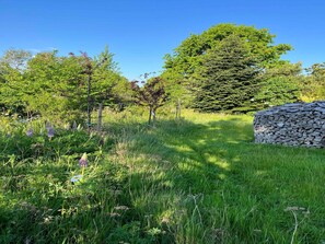 House | Property grounds