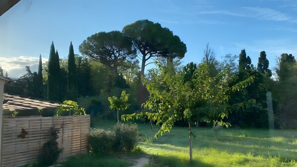 Un jardin avec un grand arbre, une clôture en bois et un bâtiment en arrière-plan.
