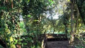 A natural setting with a stone pathway leading to a rustic wooden structure.