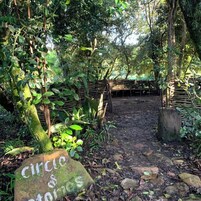 Un entorno natural con un sendero de piedra que conduce a una estructura de madera rústica.