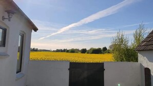 Un edificio blanco con una reja negra, un campo de flores amarillas y un cielo despejado con estelas.