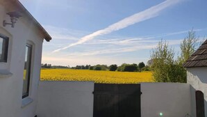 Un edificio blanco con una verja negra, un campo de flores amarillas y un cielo despejado con estelas.