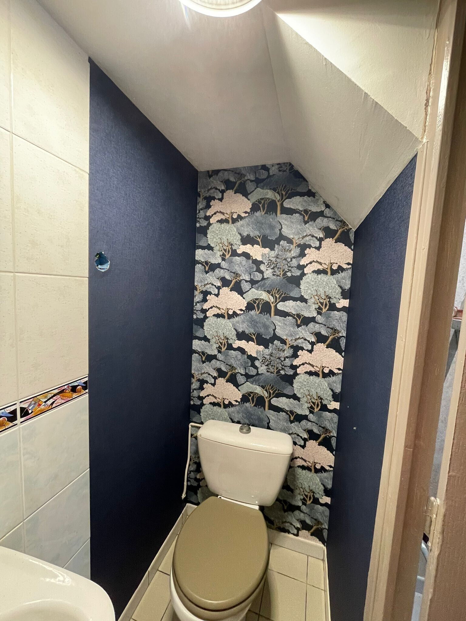 Douche, sèche-cheveux