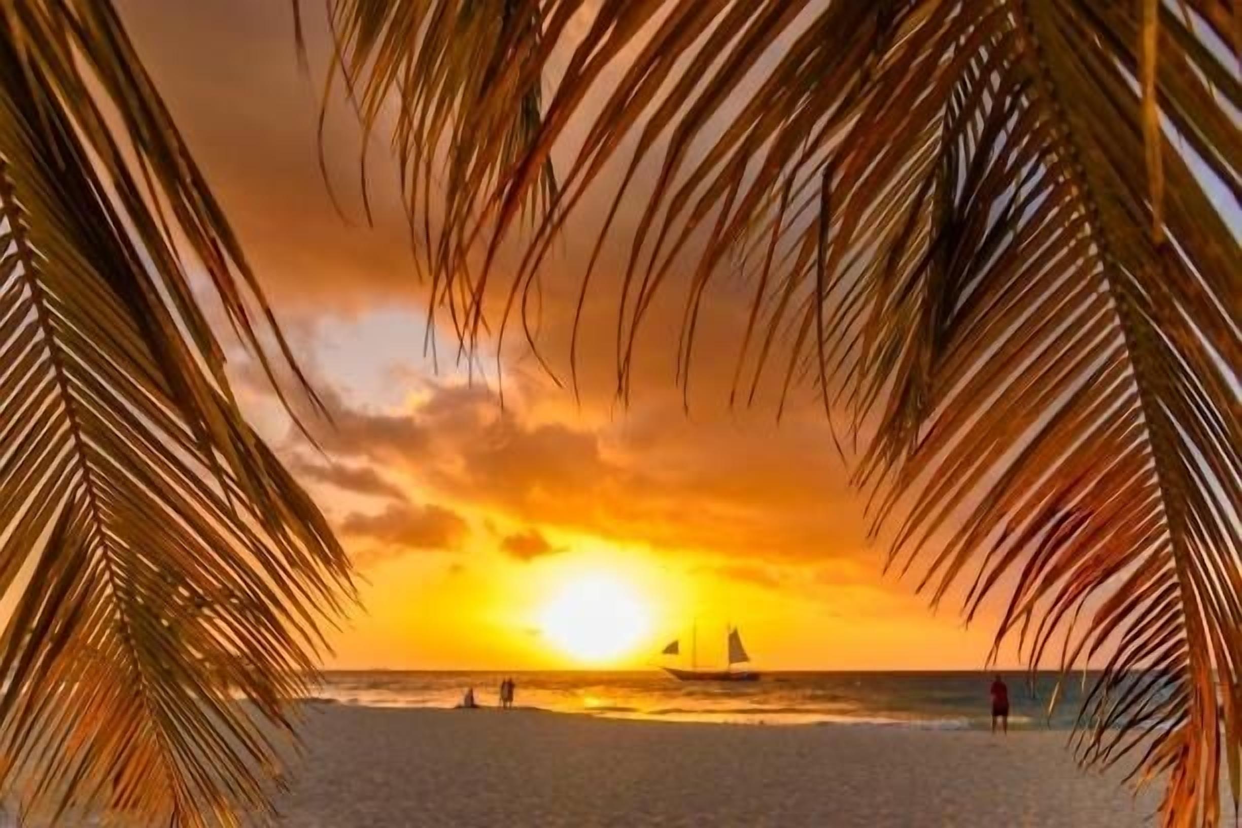 Ein Strandbild bei Sonnenuntergang, eingefasst von Palmenblättern.