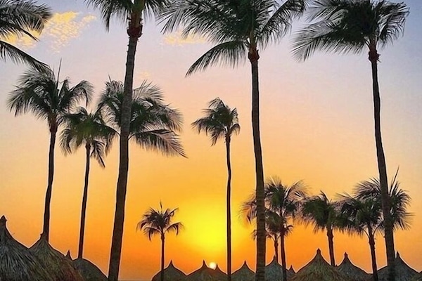 Sun loungers, beach towels