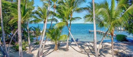 Camastros y toallas de playa