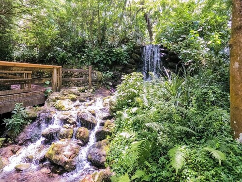 Rainbow River Bungalow with FREE access to KP Hole! Near Crystal River & Ocala