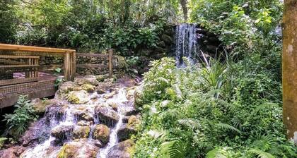 Rainbow River Bungalow with FREE access to KP Hole! Near Crystal River & Ocala